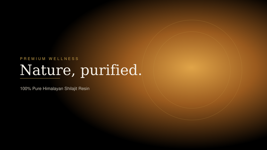 What is shilajit - a beginner's guide